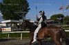 Immagine <b>REG_9317</b>